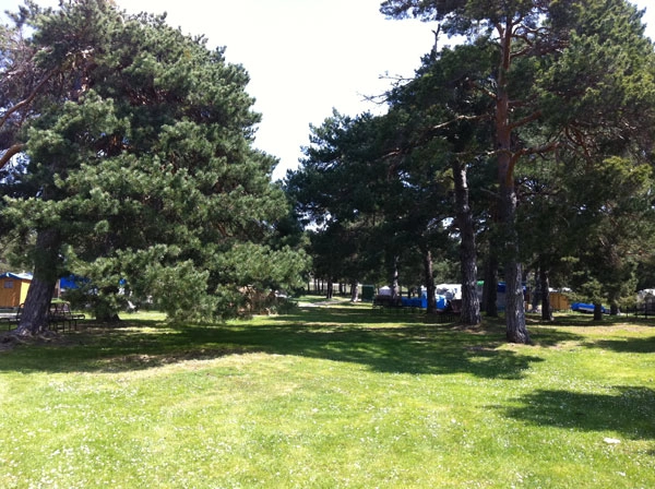 Camping el Concurso - zdjęcie 1