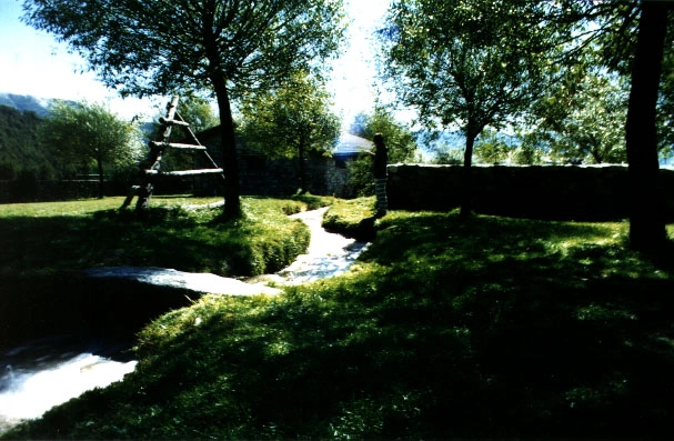 Camping el Cortal Del Gral - zdjęcie 2