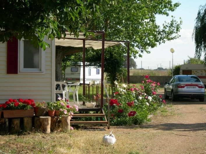 zobacz camping - zdjęcie 7