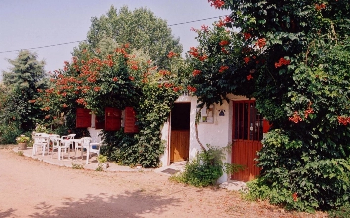 zobacz camping - zdjęcie 6