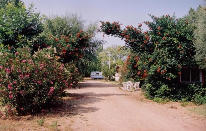 zobacz camping - zdjęcie 5