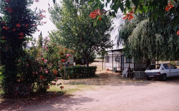 Camping El Cruce - zdjęcie 3