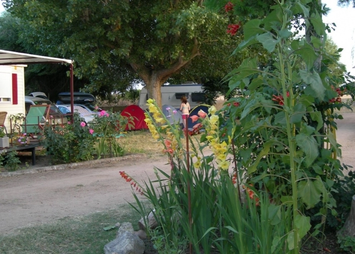 zobacz camping - zdjęcie 1