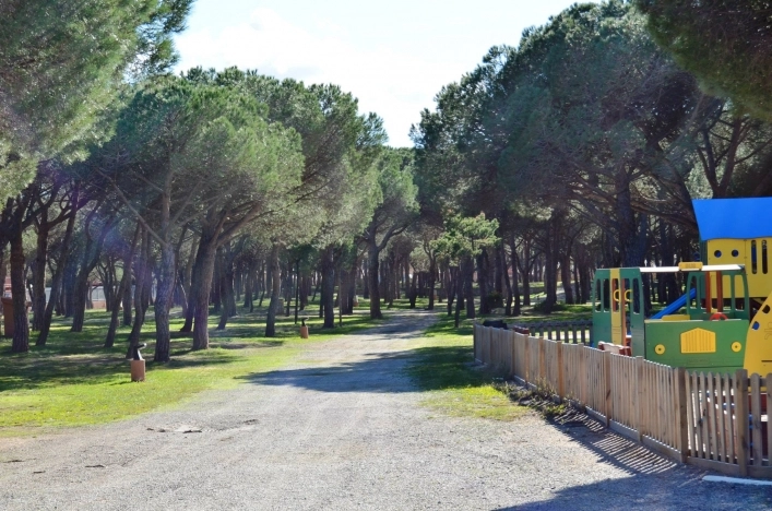 zobacz camping - zdjęcie 31