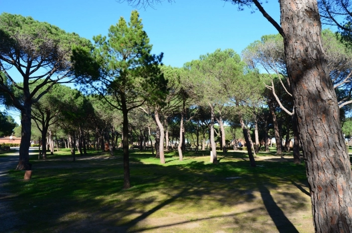 zobacz camping - zdjęcie 28