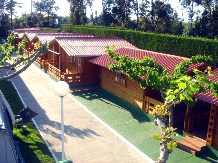 zobacz camping - zdjęcie 16