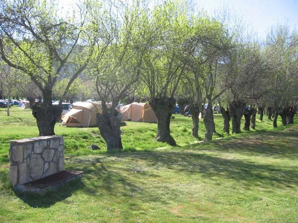 zobacz camping - zdjęcie 10