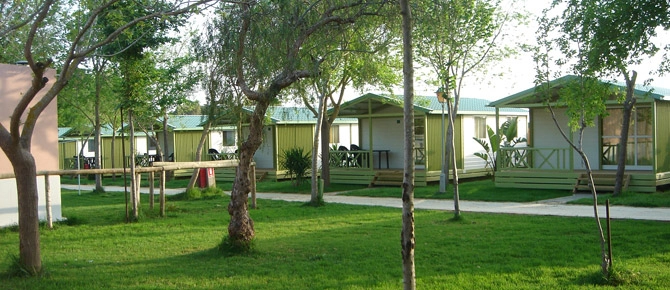 zobacz camping - zdjęcie 11