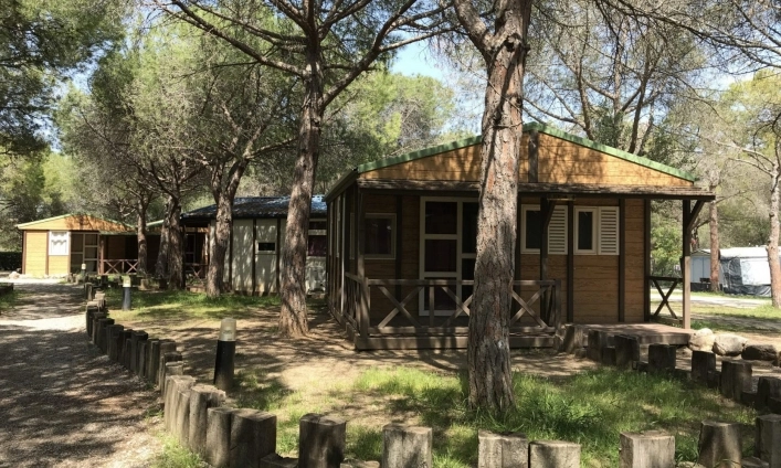 zobacz camping - zdjęcie 9