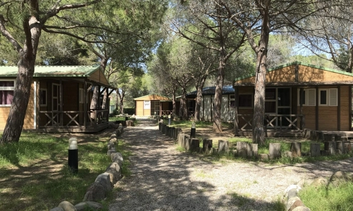 zobacz camping - zdjęcie 7