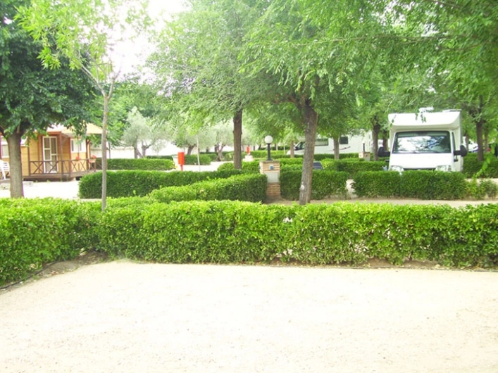 zobacz camping - zdjęcie 6