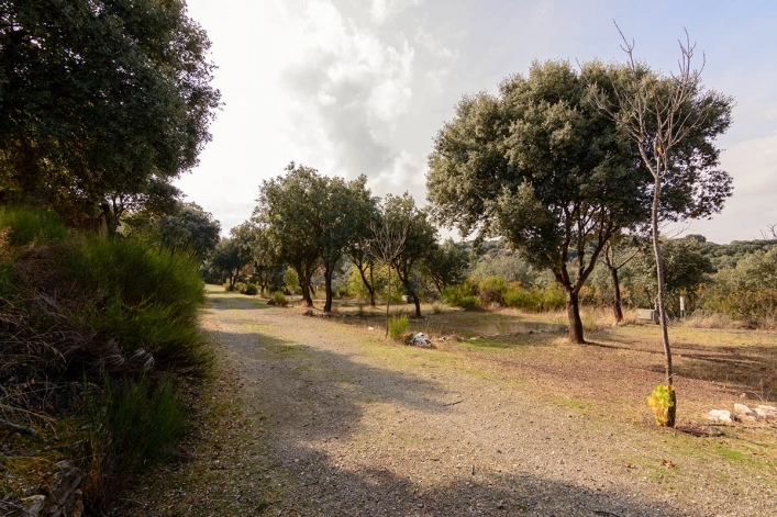 zobacz camping - zdjęcie 10