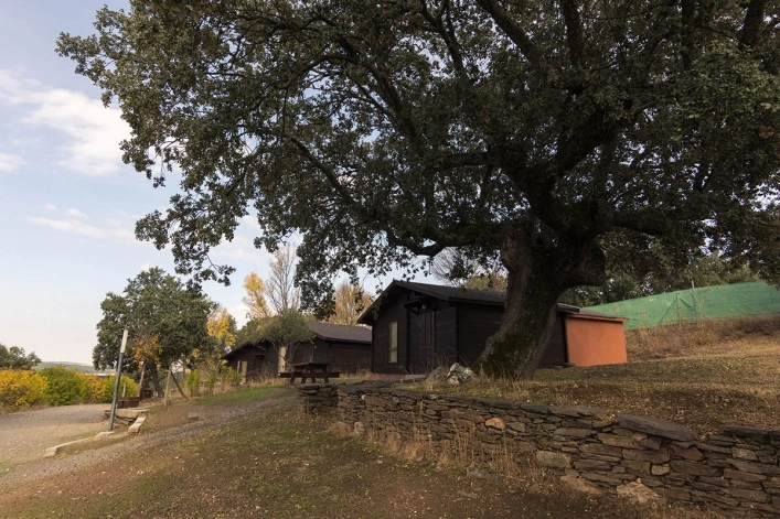 zobacz camping - zdjęcie 6