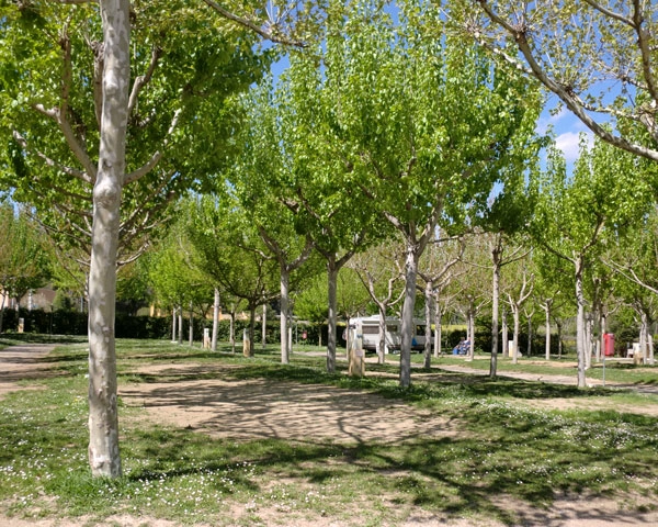 zobacz camping - zdjęcie 14