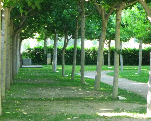 zobacz camping - zdjęcie 8