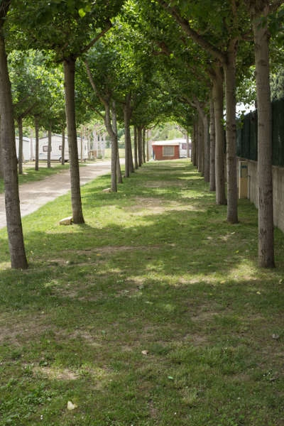 zobacz camping - zdjęcie 4