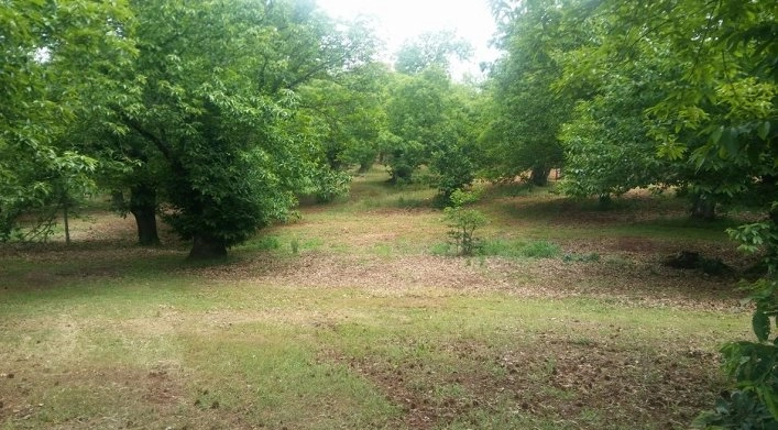 zobacz camping - zdjęcie 24