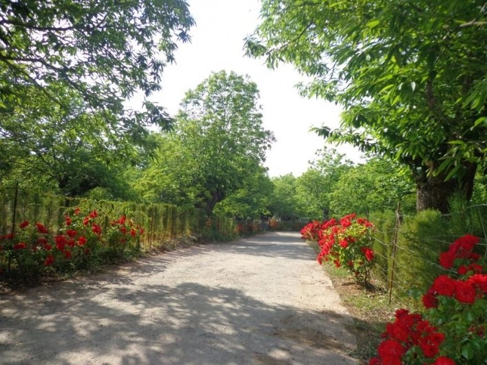 zobacz camping - zdjęcie 21