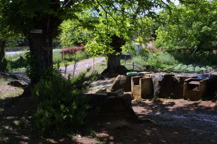 zobacz camping - zdjęcie 16