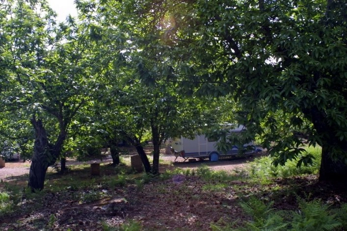 zobacz camping - zdjęcie 6