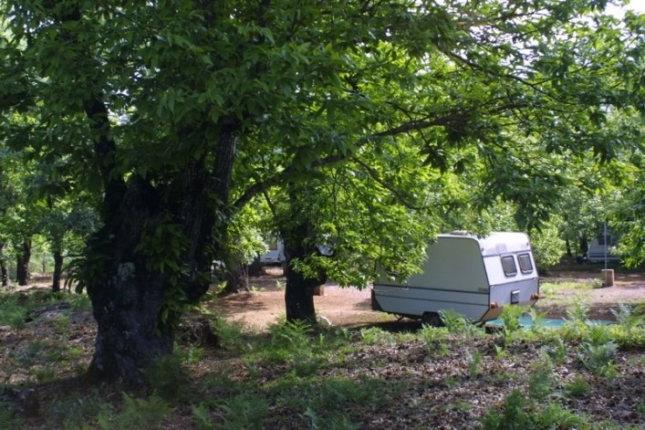 zobacz camping - zdjęcie 5