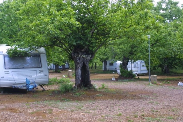 Camping el Madroñal - zdjęcie 2