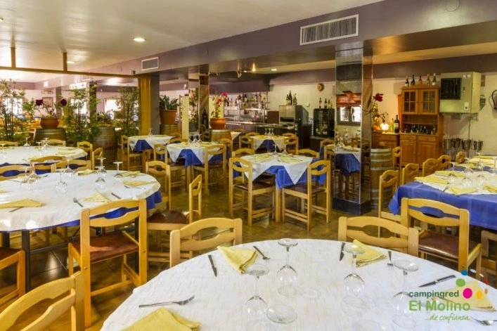 zobacz camping - zdjęcie 20