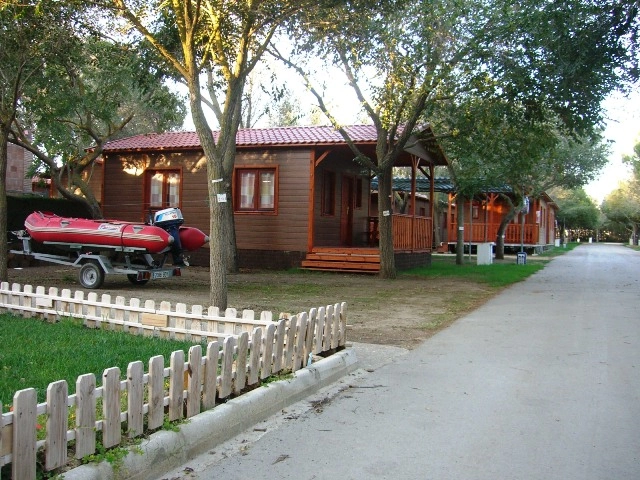 zobacz camping - zdjęcie 20