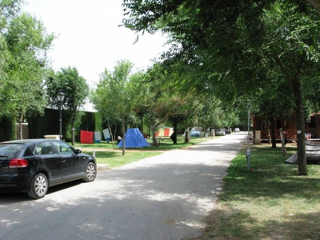 zobacz camping - zdjęcie 12