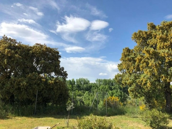 zobacz camping - zdjęcie 5