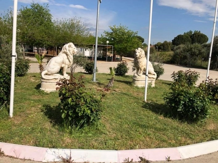 Camping el Paraíso - zdjęcie 1