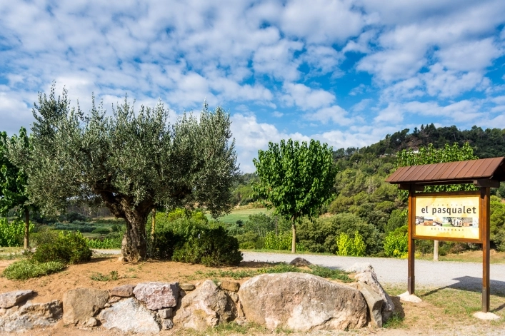 zobacz camping - zdjęcie 28