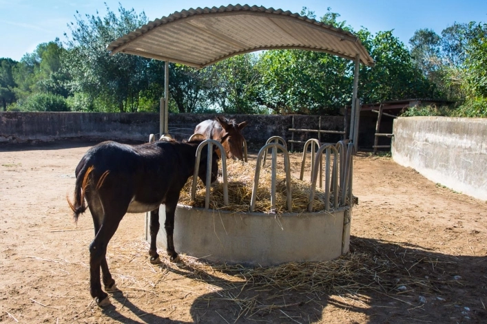 zobacz camping - zdjęcie 18