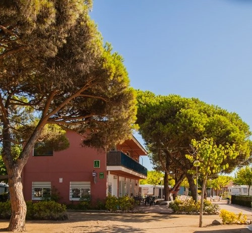 zobacz camping - zdjęcie 13