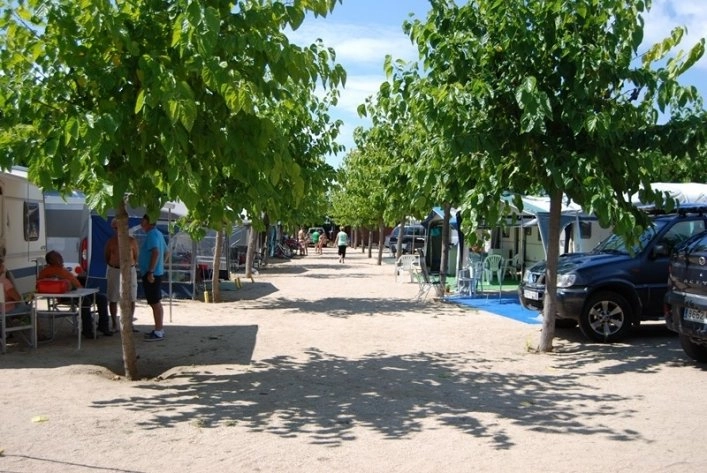 Camping el Pinar - zdjęcie 4