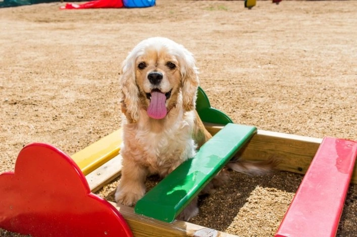 zobacz camping - zdjęcie 8