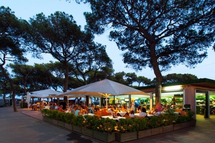 zobacz camping - zdjęcie 6