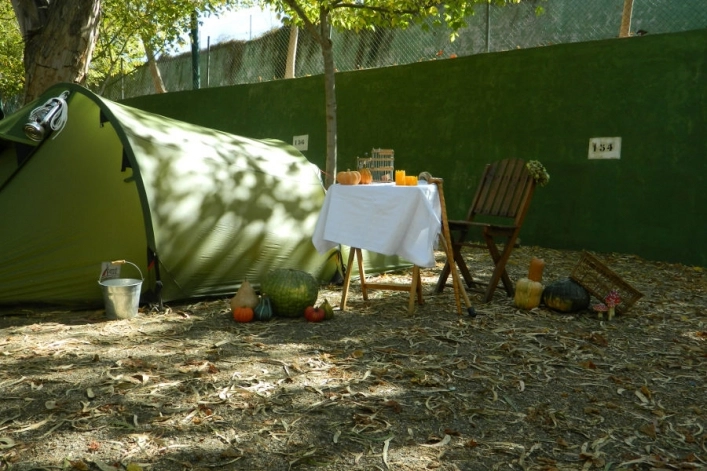 zobacz camping - zdjęcie 11