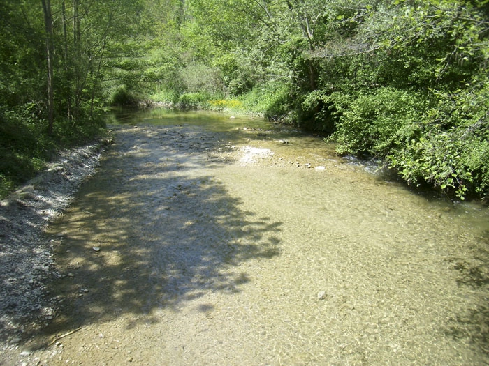zobacz camping - zdjęcie 15