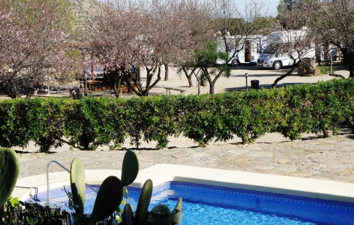 Camping el Quinto - zdjęcie 4