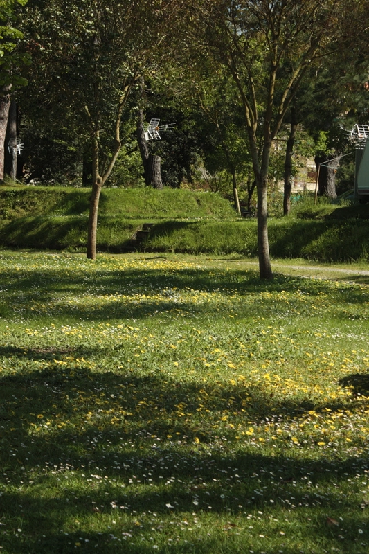 zobacz camping - zdjęcie 13