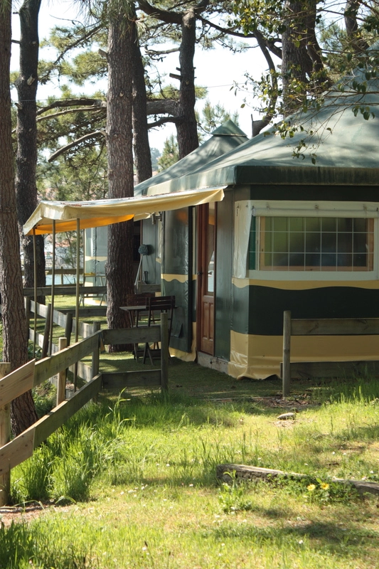 zobacz camping - zdjęcie 8