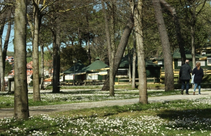 zobacz camping - zdjęcie 6