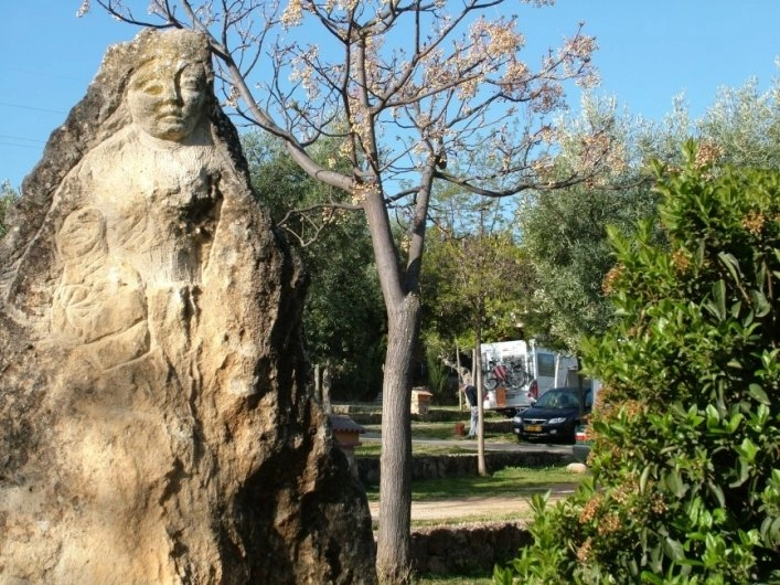 zobacz camping - zdjęcie 9