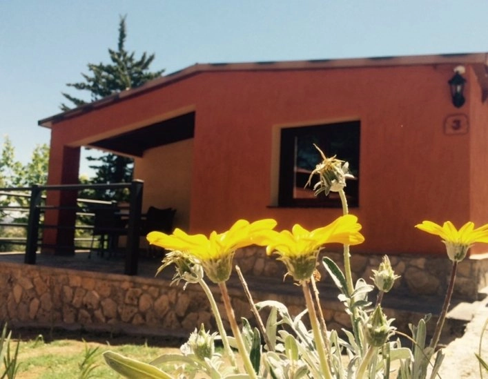 Camping El Sur - zdjęcie 4