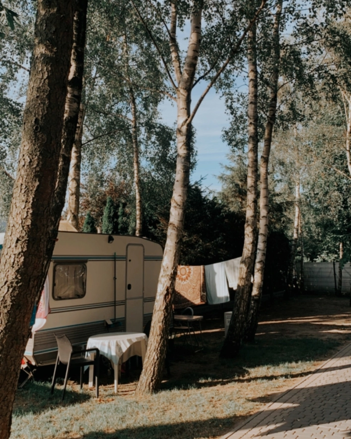 Galeria zdjęć - zdjęcie 10