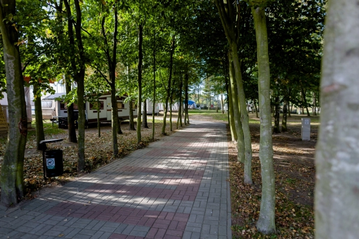 Galeria zdjęć - zdjęcie 4