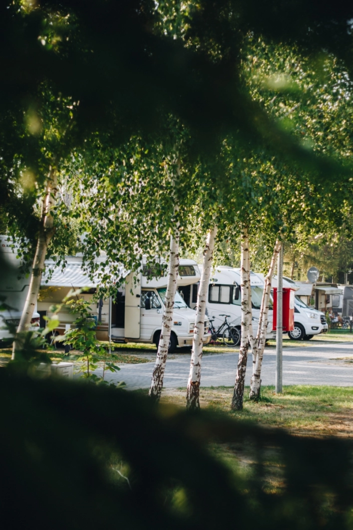 Galeria zdjęć - zdjęcie 1