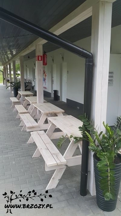 Galeria zdjęć - zdjęcie 15