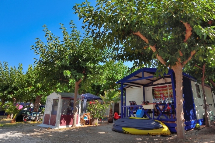 Galeria zdjęć - zdjęcie 7